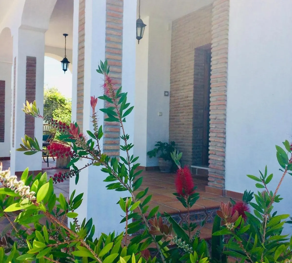 Villa Pinos Malaga With Private Pool, Garden, Bbq Alhaurin de la Torre